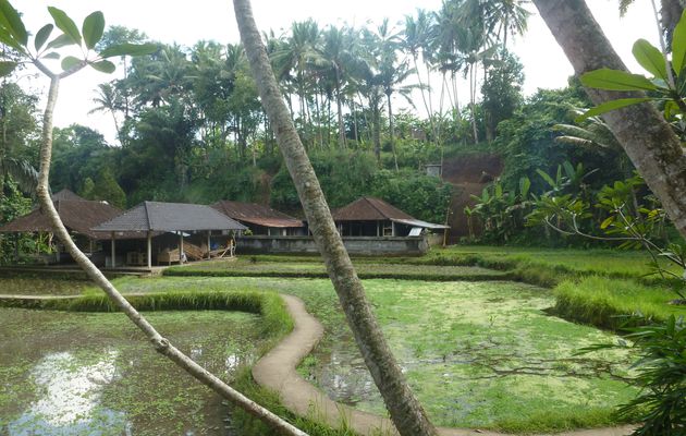 le 23 et 24 avril : KELIKI - UBUD