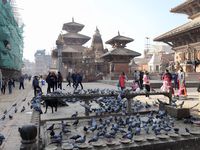 Le quartier de Durbar Square, le soir ou la journée, véhicule toujours cette douceur et le rythme suave des flâneurs qui profitent du temps présent; pas d'emphase ni de show, juste la simplicité avec cette cuisinière du soir, puis la place de Durbar Square, d'une beauté inoubliable avec ses ballets de pigeons, parfaits figurants dans ce décor somptueux !!!