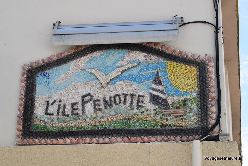 L'Île Penotte (85)