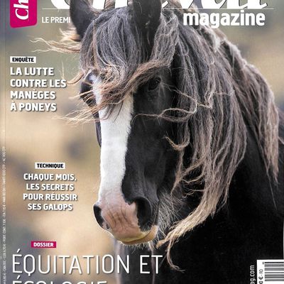 Cheval Magazine (Novembre)