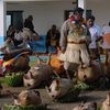 Sacré le PUAKA à Wallis et Futuna pour les Cérémonies..