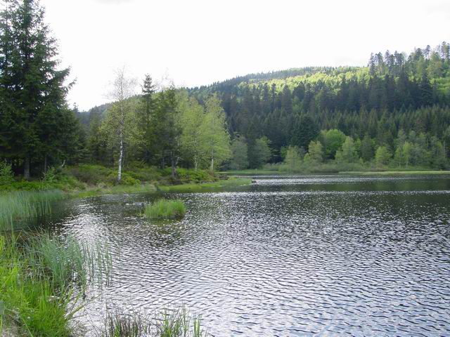 <P><FONT color=#ff0000><STRONG>petit lac&nbsp; entre GERARDMER</STRONG></FONT></P>
<P><FONT color=#ff0000><STRONG>et LA BRESSE</STRONG></FONT></P>