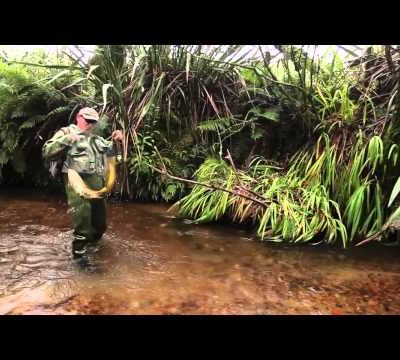 De belles images pour le rise 2015