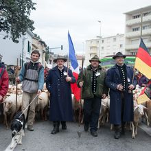 Le 07 Mars, audience au tribunal à Luxembourg, pour la plainte déposée par les éleveurs allemands, contre le bouclage électronique!