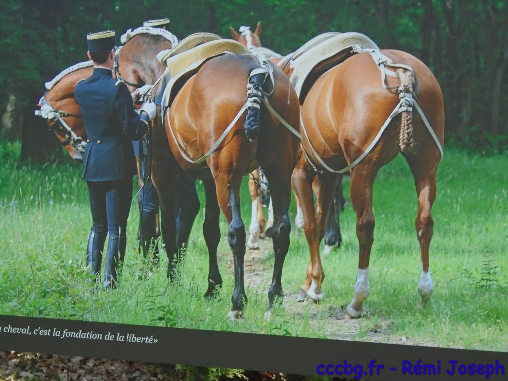 Cadre Noir Saumur, Camping-car-club-Beauce-Gâtinais