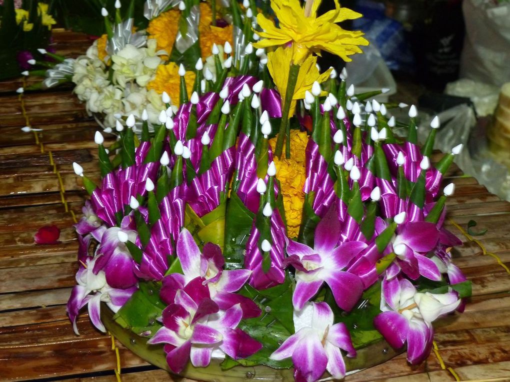 Loy Kratong ( ลอยกระทง )