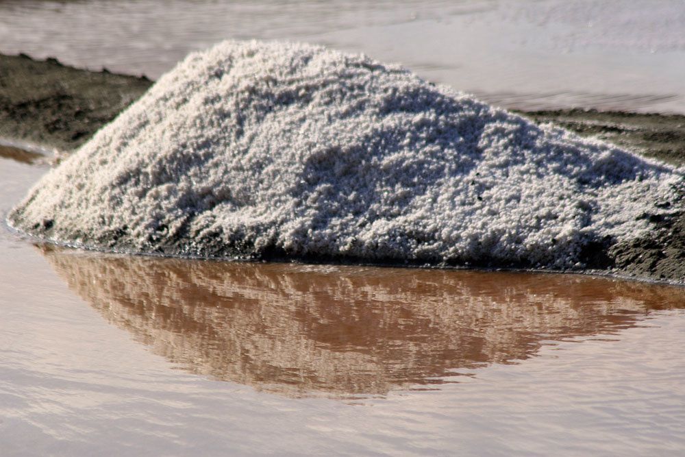 Terre de sel - Les marais salants de Guérande