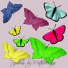 Des papillons colorés