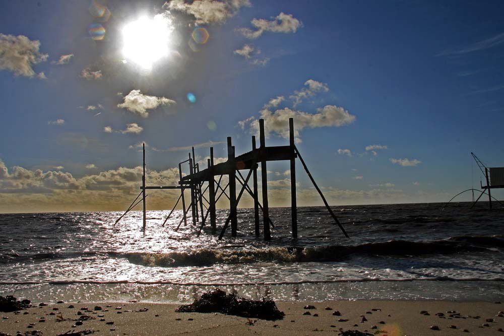 Sentier de douanier en Pays de Retz - Photos Thierry Weber Photographe La Baule Guérande