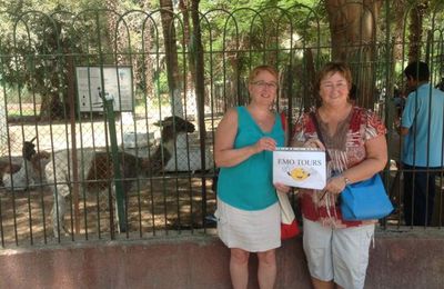 TOUR DE MEDIO DIA AL ZOOLÓGICO DE GIZA EN EL CAIRO