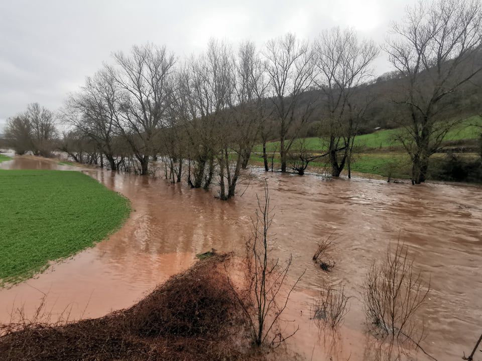 Le Dourdou, entre Montlaur et Rayssac