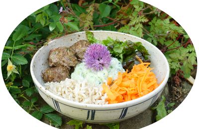 Buddha bowl aux boulettes de boeuf/ courgette, tzaziki, riz complet & crudités - IG Bas / sans lactose