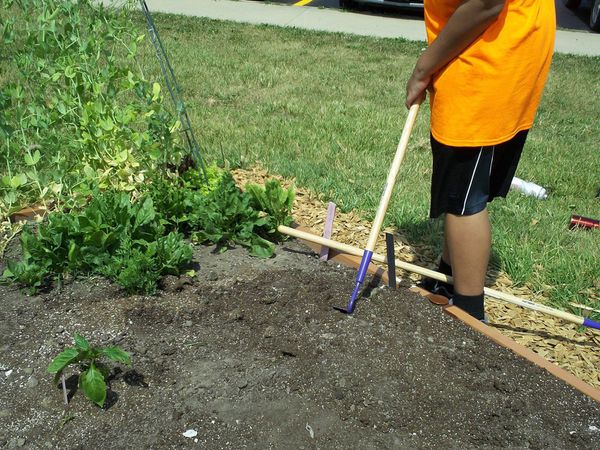 Seasonal Garden Chore Calendar