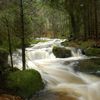 Torrent de montagne