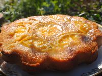 Moelleux aux oranges amères . 