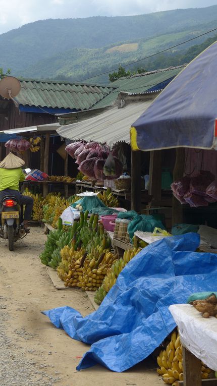 Le Laos pratique