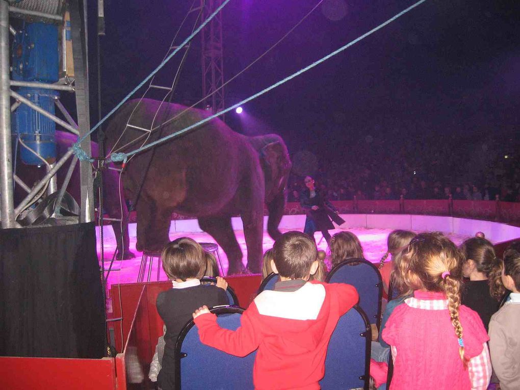 Le cirque de Noël