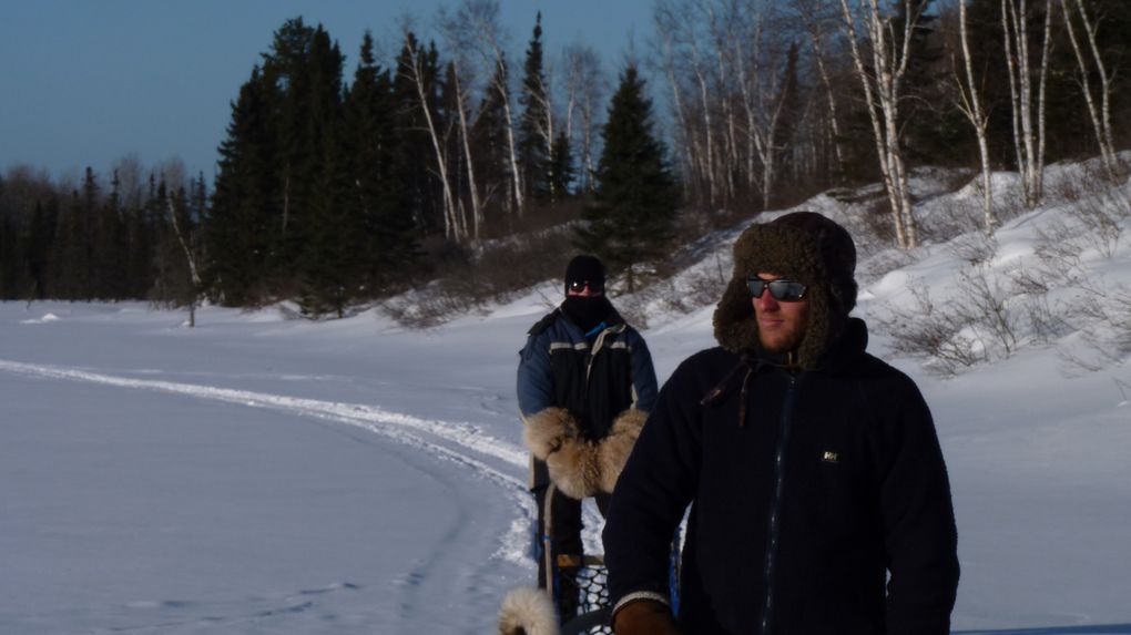 Album - 12-03 Lac-Saint-Jean-Traineau-a-chiens-fev-2012