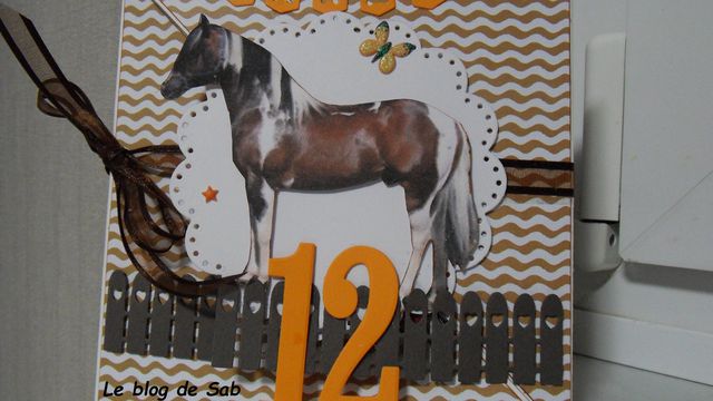 Carte anniversaire enfant cheval