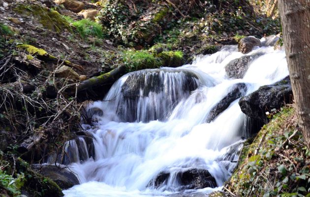 Au fil de l'eau