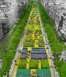 Nature Capitale : Les Champs Elysées comme vous ne les avez jamais vus