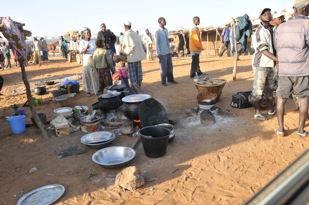 Voyage au pays Dogons, au pied du Sahel et des fameuses falaises de Bandiagara.