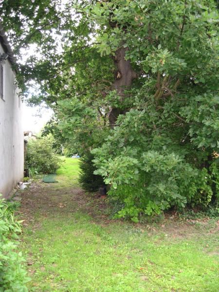 Le terrain tel qu'à l'origine, en été ou a l'automne, puis l'élagage et le dernier nettoyage avant le début des travaux.