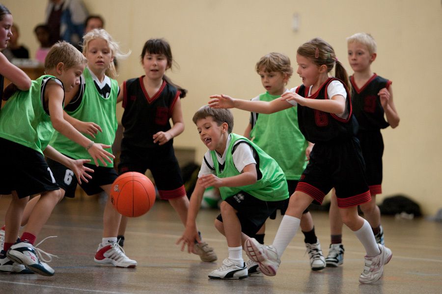 Diverses photos de l'équipe des mini-poussins de la saison 2009-2010