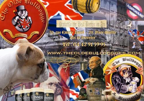 Album - Olde-Bulldogge-pubs-and-logos