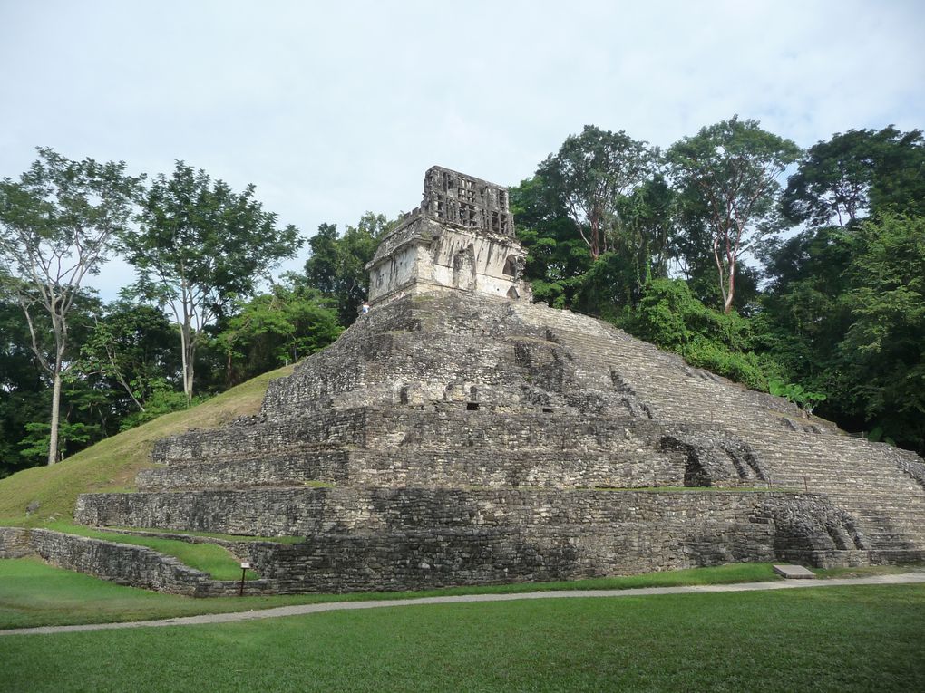 Album - 32.Palenque (mex-nov.)