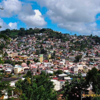 Randonnée Martinique : visite guidée du quartier Trénelle-Citron durant vos vacances 