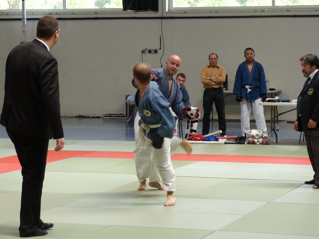 1ere partie des photos de la compétition de Nihon Budo du 10 mai 2015 au gymnase des droits de l'Homme à Guyancourt.