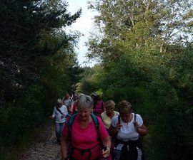 La petite marche elle est partait de Prabouré avec 16 personnes et se promenait dans les bois ( pendant que le loup n'y etait pas ), bien a l'ombre.