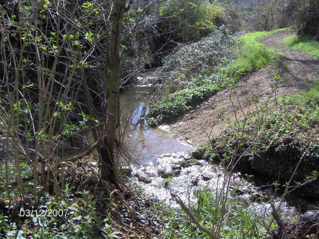 Constats des chemins avant travaux