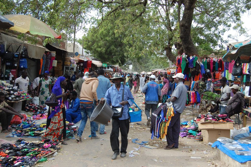 L'album de notre voyage au Sénégal en janvier 2014, le premier mais nous espérons qu'il y en aura d'autres tant ce pays est attachant.