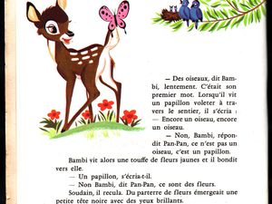 Bambi Raconté par Claude Nicot et Anna Gaylor