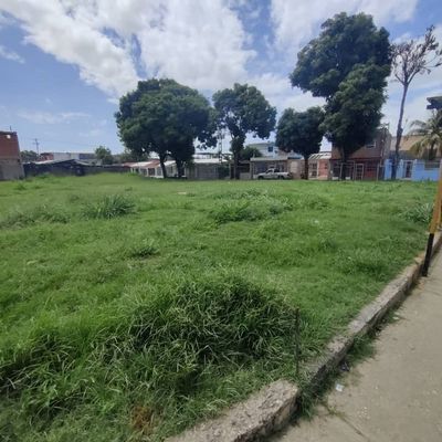 Comunidades solicitan construcción de parque recreativo en el sector Bella Florida de Valencia (+Video)