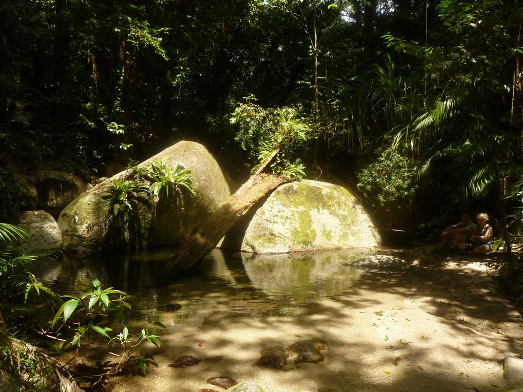 Album - 27- Cairns et environs, Queensland, septembre 2011