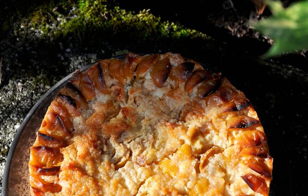 Pudding à la mirabelle du jardin & écorces confites de citron
