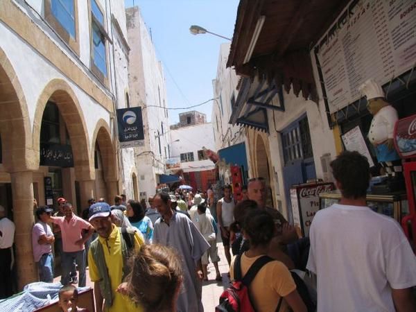 quelques 106 photos d'Essaouira, de son port, de ses mouettes et de ses chats plus ou moins mités