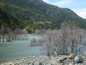 Le Glacier des explorateurs (photo 1) ; le lac Bayo (photo 2) ; "forêt morte" (photo 4) ; lac Tranquillo (photo 6)