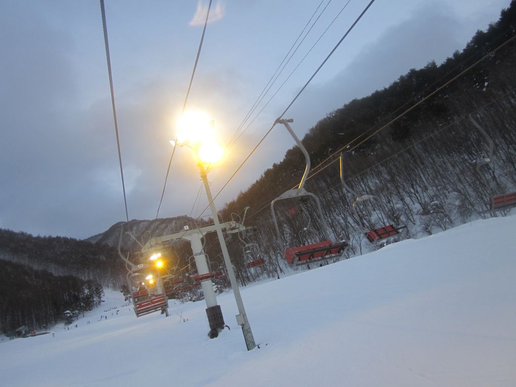 Neko Cafe, séjour au ski