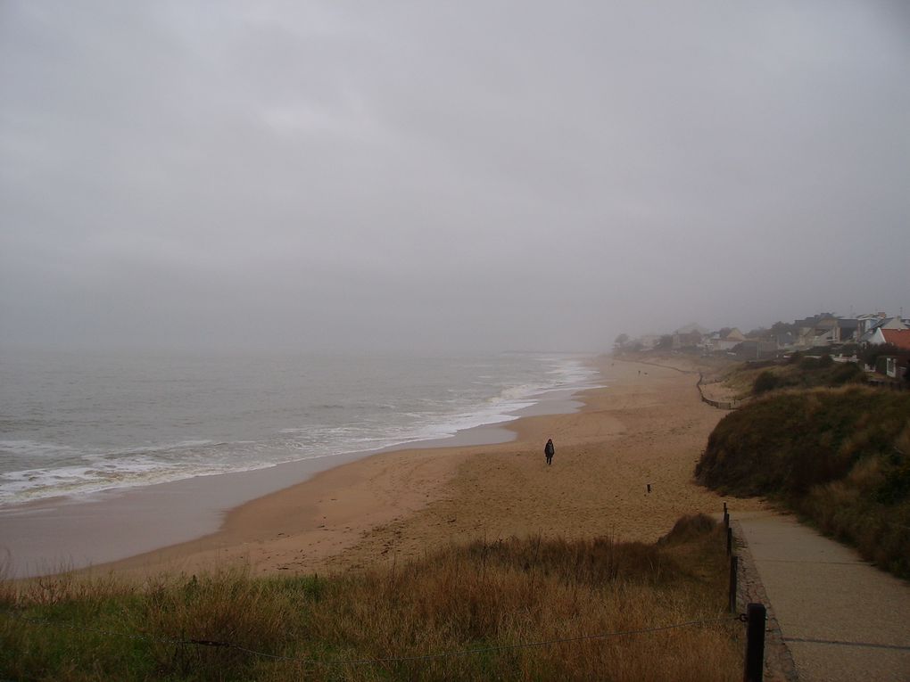 Photos prises au hasard de nos ballades à la campagne ,à la mer ou autres