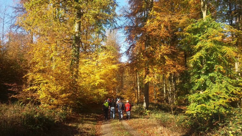 LYONS LA FORET - Photos de Daniel