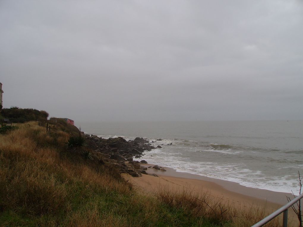 Photos prises au hasard de nos ballades à la campagne ,à la mer ou autres