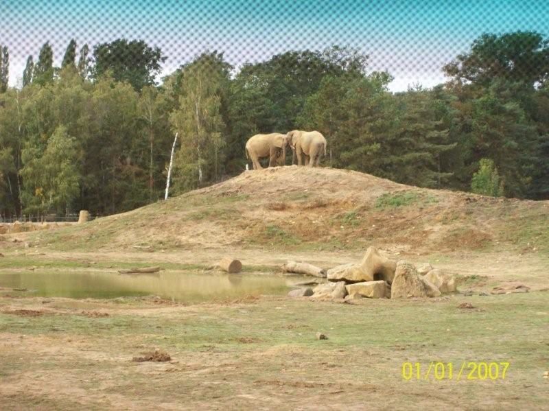 Partagez avec nous quelques-unes sorties réalisées cette année : Le bois de Creuse, la ferme d'antan, le parc de Thoiry, le voyage à Canterbury en Angleterre...