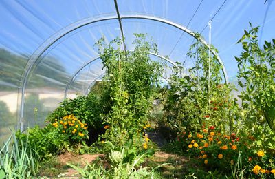 Serre tunnel de jardin CYRANO largeur 3m