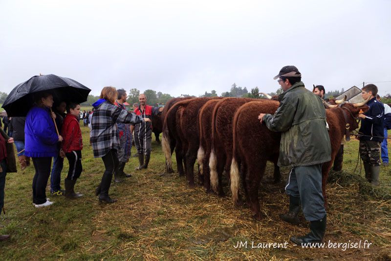 Essentiellement photos des animaux présentés par Christophe et Patricia Freyssac... mais je compléterai !