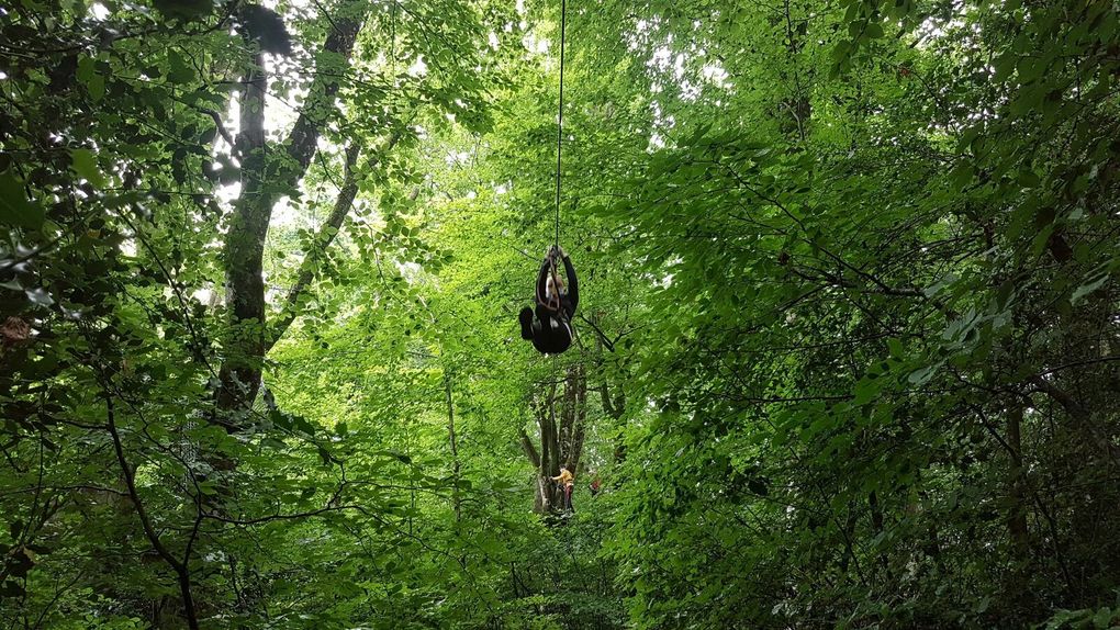 L'accrobranche