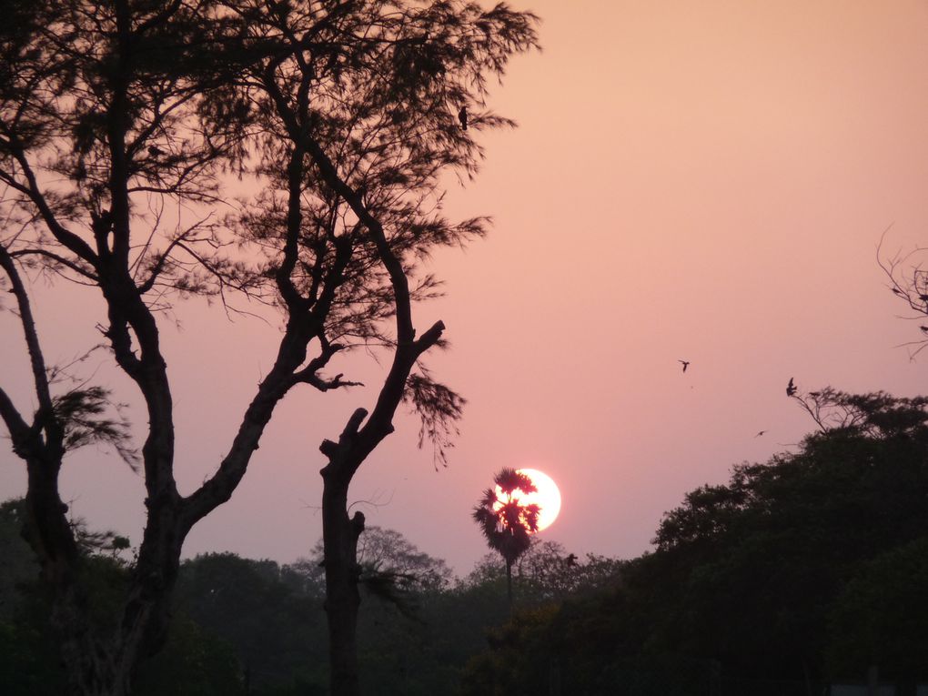 Album - Inde-du-Sud : Tamil Nadu, Kerala, Karnataka.